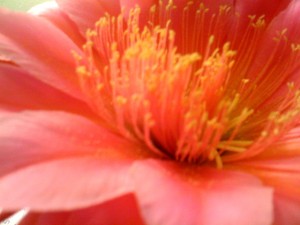 IMG_0145
