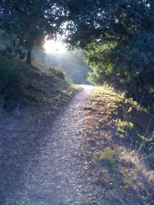 Dusk Light