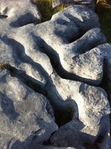 IMG_1697 The Burren Close-up