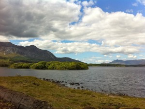 IMG_1786 Connemara Colors