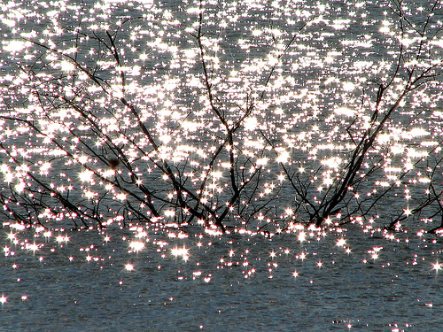 thelightiswithinusall The Light Is Within Each of Us