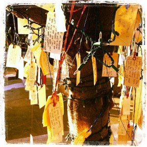 thewishtree