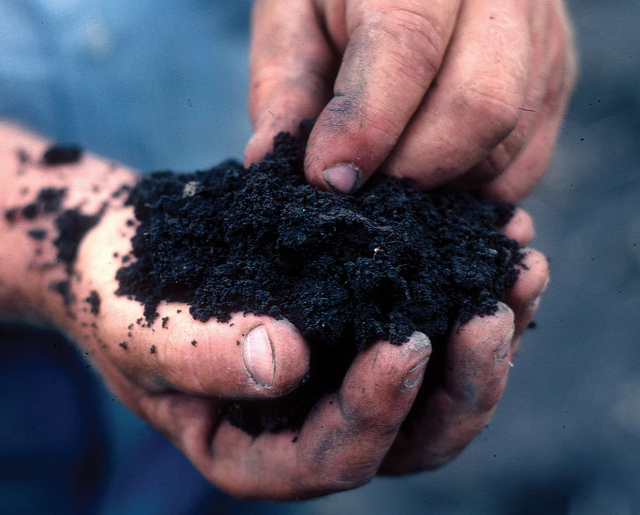 TouchHealthySoil